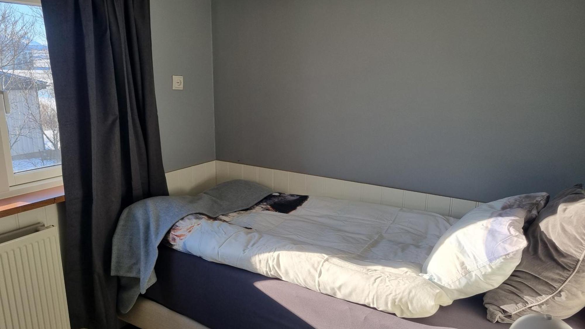 Fornilaekur Guesthouse Blonduos Ngoại thất bức ảnh